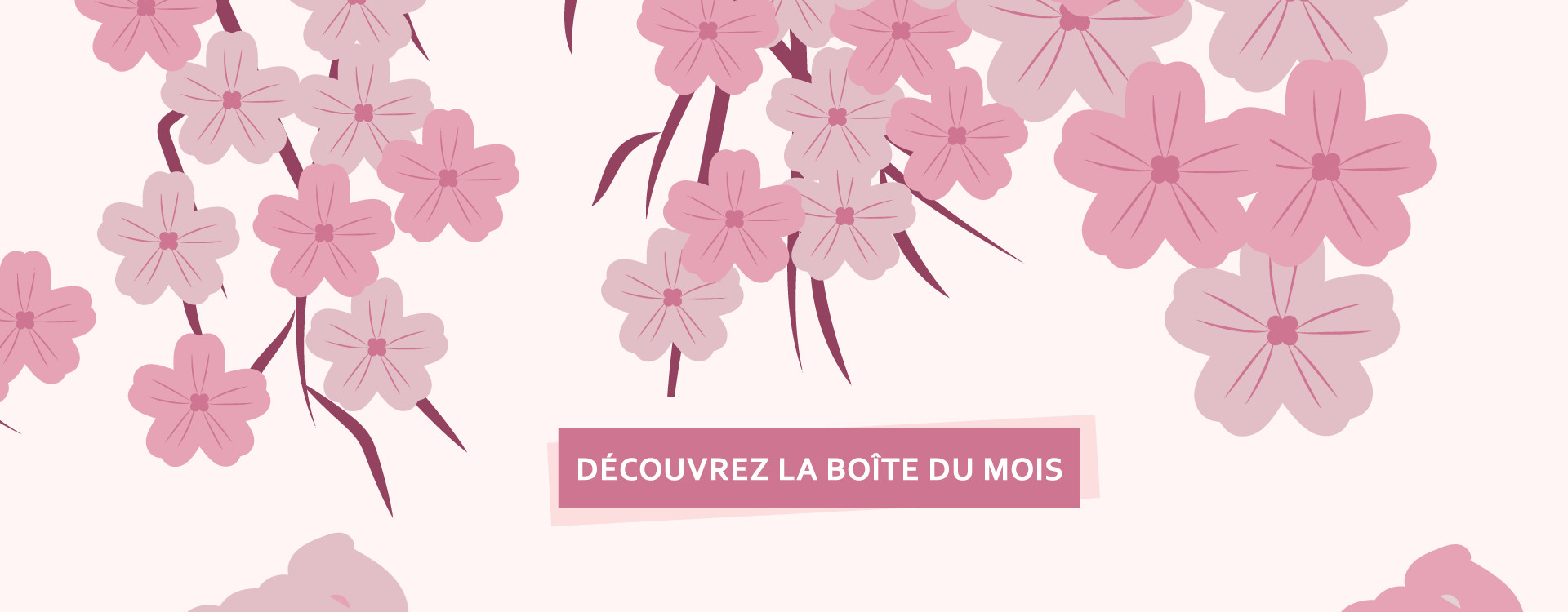Découvrez la boîte du mois