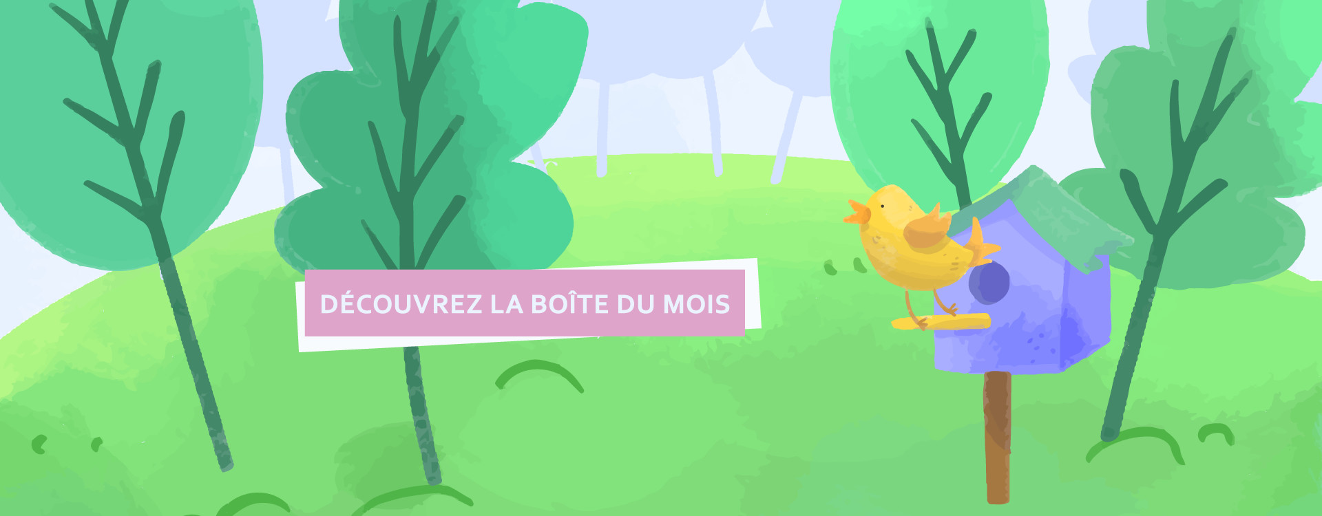 Découvrez la boîte du mois